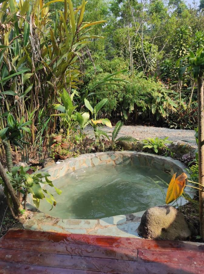 Glamping Salento Con Jacuzzi Climatizado Hotel Buitenkant foto